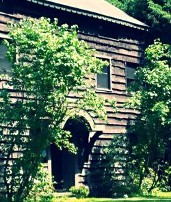 Old building with trees in background