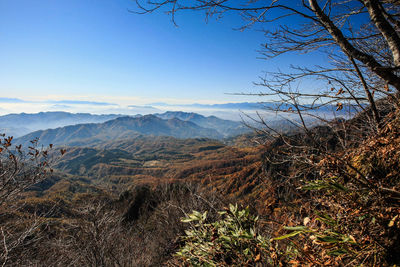 Scenic view of landscape against clear blue sky