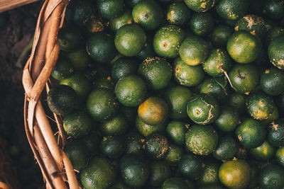 Close-up of hand holding berries