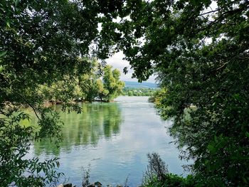 Scenic view of lake in forest against sky