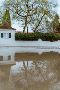 Reflection of tree and building in water