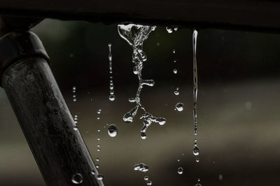 Close-up of water drops on leaf