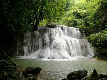 Scenic view of waterfall in forest