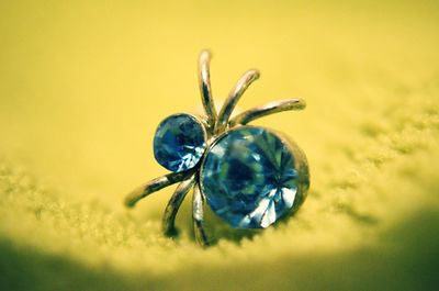 Close-up of insect
