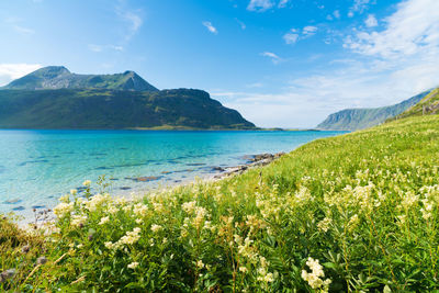 Scenic view of sea against sky