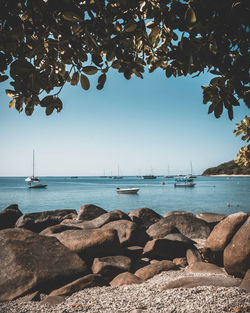 Scenic view of sea and boats through trees against sky