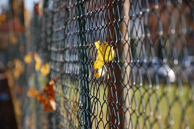 Close-up of chainlink fence