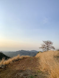 Scenic view of field against sky during sunset