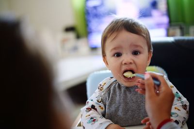 Portrait of cute boy eating food with mother hand