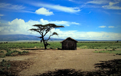 Trees on field by house against sky