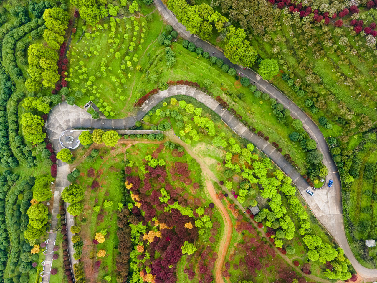 HIGH ANGLE VIEW OF TREES GROWING ON FARM