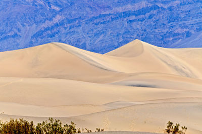 Sand dunes in a desert