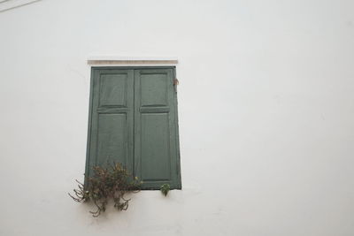 Snow on wall