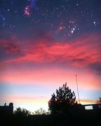 Low angle view of silhouette trees against sky at sunset