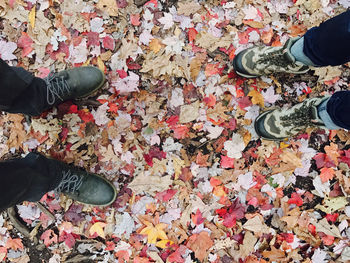Low section of men standing on fallen leaves during autumn