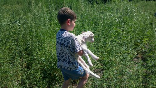 Boy holding kid goat while walking on grassy field