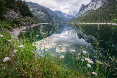 Scenic view of lake and mountains