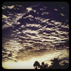 Scenic view of trees against cloudy sky