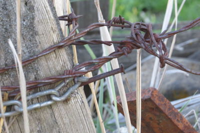 Close-up of ropes on wooden plank