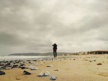 Panoramix view if beach saidia