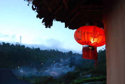 Illuminated lanterns hanging on tree