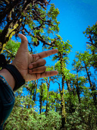 Low angle view of man against blue sky