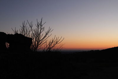 Silhouette of tree on field against clear sky