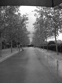 Empty road along trees