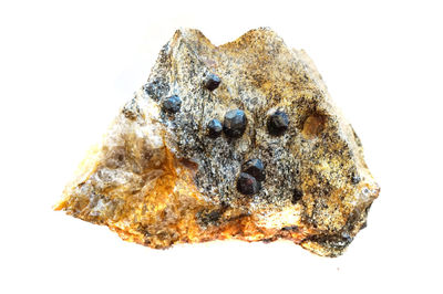 High angle view of bread on rock against white background