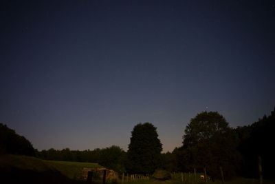 Trees against clear sky at night