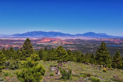 Boulder mountain homestead overlook grand staircase-escalante national monument boulder torrey utah