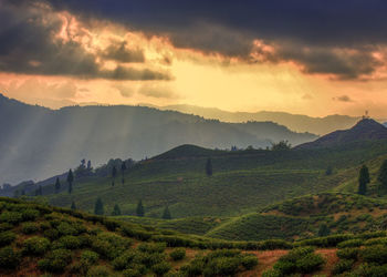 Scenic view of field against sky during sunset