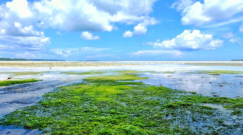 Scenic view of beach against sky