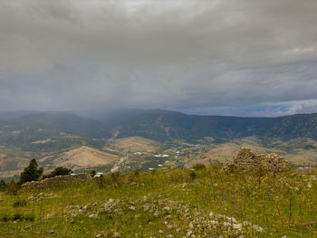 environment