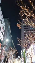 Low angle view of illuminated christmas tree at night