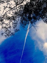 Low angle view of tree against blue sky