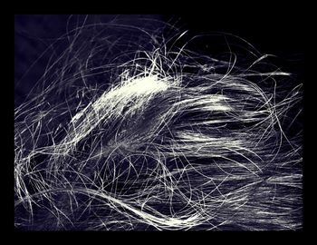 Close-up of fireworks over black background
