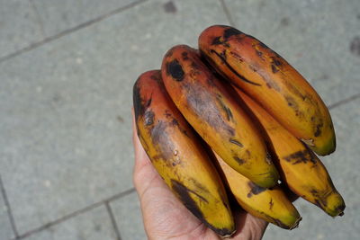 Close-up of hand holding fruit