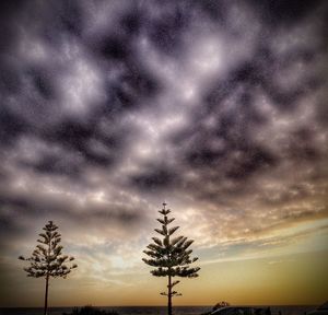 Low angle view of silhouette trees against cloudy sky