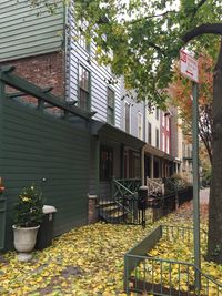 Trees in front of building