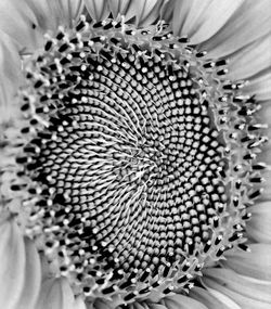 Close up of pattern