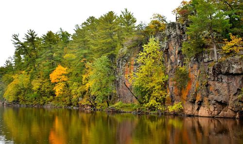 Scenic view of lake by trees in forest against sky