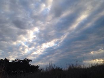 Low angle view of trees against cloudy sky