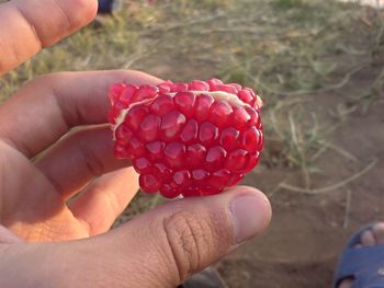 Cropped hand holding pomegranate