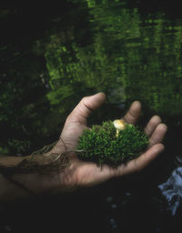 Cropped hand holding coral against sea