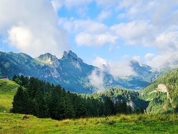 Scenic view of landscape against sky