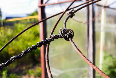 Close-up of barbed wire on fence