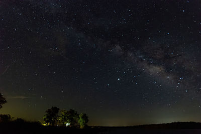 Low angle view of trees against star field at night