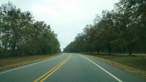 Empty road along trees