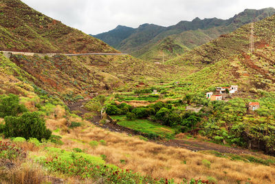 Scenic view of green landscape